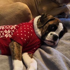 Meet your Posher, Todd